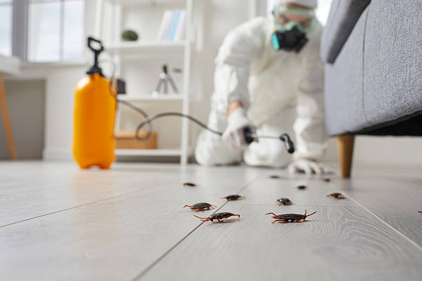 Commercial Kitchen Cockroach Control in Exmore